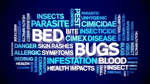 Bed Bugs animated word cloud,design animation kinetic typography seamless loop. Vidéo 155584083