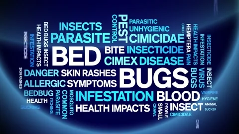 Bed Bugs animated word cloud,design animation kinetic typography seamless loop. 스톡 동영상 155584238
