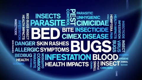 Bed Bugs animated word cloud,design animation kinetic typography seamless loop. Vidéo 155584247