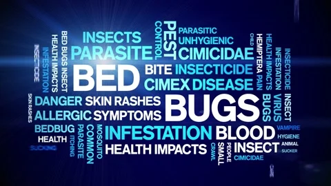 Bed Bugs animated word cloud,design animation kinetic typography seamless loop. Vidéo 155584331