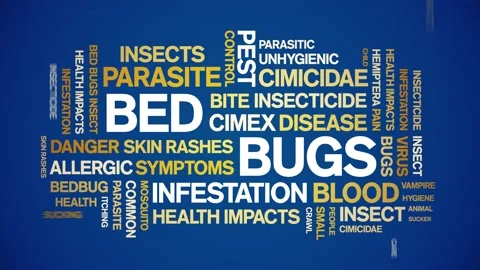 Bed Bugs animated word cloud,design animation kinetic typography seamless loop. 스톡 동영상 155584570