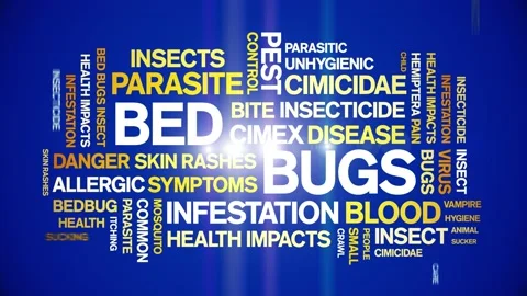 Bed Bugs animated word cloud,design animation kinetic typography seamless loop. 스톡 동영상 155584725