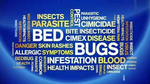 Bed Bugs animated word cloud,design animation kinetic typography seamless loop. 스톡 동영상 155584846