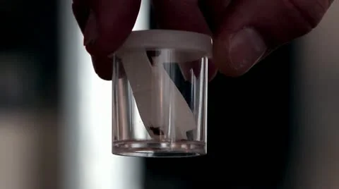 Bed Bugs in a Jar 動画素材 12862199