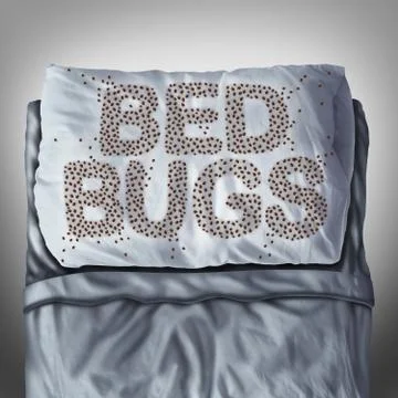 Bed Bugs On Pillow Stock Illustration