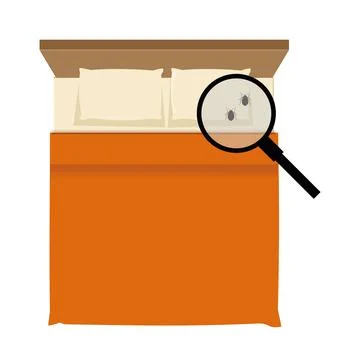 Bed bugs problem, a hand inspecting a bedding with a magnifying glass Stock Illustration