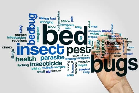 Bed bugs word cloud concept on grey background Foto stock