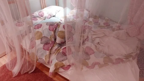 Bed with canopy Stock Footage 79168558