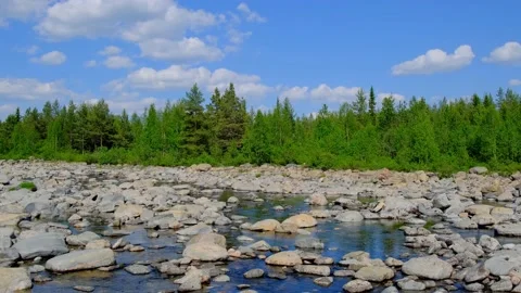 The bed of a dry mountain river in which there is almost no water left. Stock Footage 155541007