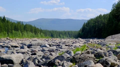 The bed of a dry mountain river in which there is almost no water left. Stock Footage 155541042