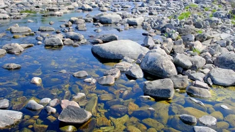 The bed of a dry mountain river in which there is almost no water left. Stock Footage 155541066