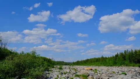 The bed of a dry mountain river in which there is almost no water left. Stock Footage 155541075