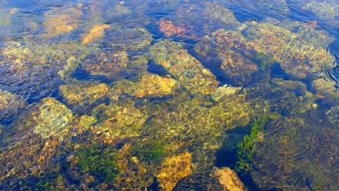 The bed of a dry mountain river in which there is almost no water left. Stock Footage 155541132
