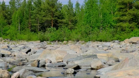 The bed of a dry mountain river in which there is almost no water left. Stock Footage 155541154