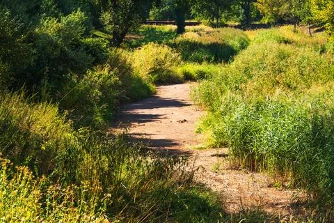 Bed of a dry river Stock Photos