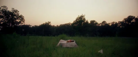 Bed In Field 2 库存影片 212432364