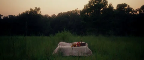 Bed In Field 库存影片 212433804