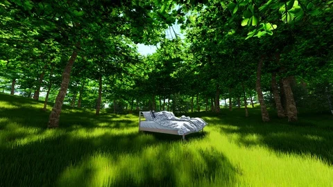 Bed In a Forest Stock Footage 106018021