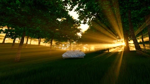 Bed in Forest Stock Footage 106018166