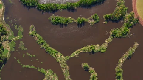 The bed of the forest river is dredged by dredge. Aerial view Stock-Footage 131068252