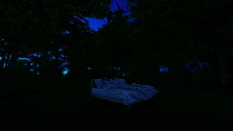 Bed in Forest Sunrise Video stock 106235474