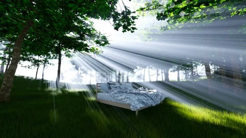 Bed in Forest Sunset Video stock 106235707