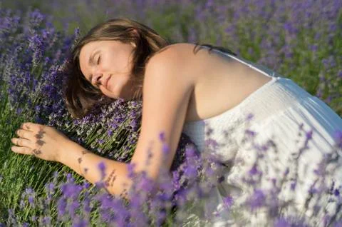 Bed of lavender Stock Photos
