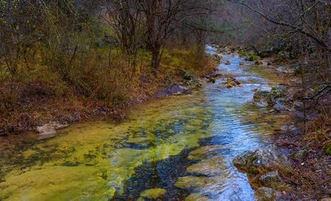 The bed of a mountain river flowing through the autumn reserved forest Foto stock