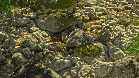Bed of a mountain stream now dry due to the summer drought Stock Footage 206777358