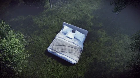 Bed in nature Stock Footage 104008506