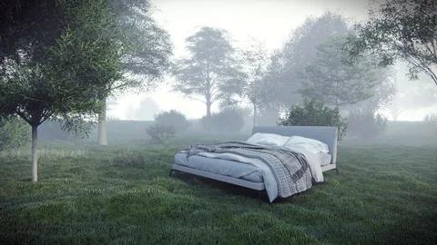 Bed in nature Stock Footage 104099889