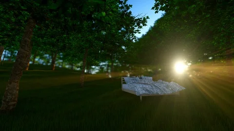 Bed In Nature Stock Footage 106015554