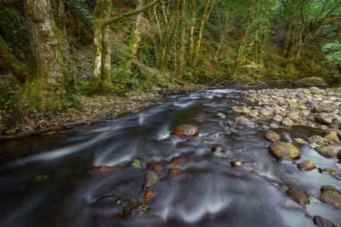 Bed of pebbles in the bottom of a river Stock Photos