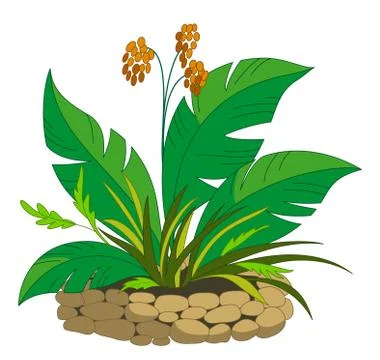 Bed with a plant with berries Stock Illustration