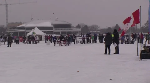Bed races at Ottawa Winterlude #51 Stock Footage 34641134