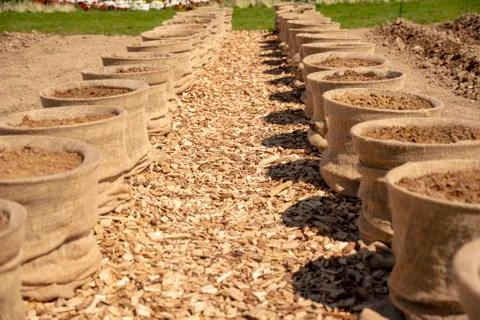 A bed with raised beds of potato sacks placed in a row Stock Photos