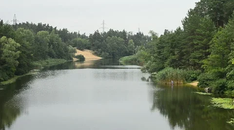 The bed of the river and the forest Stock Footage 55445404