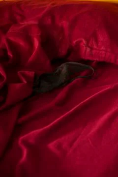 Bed Sheets Stock Photos