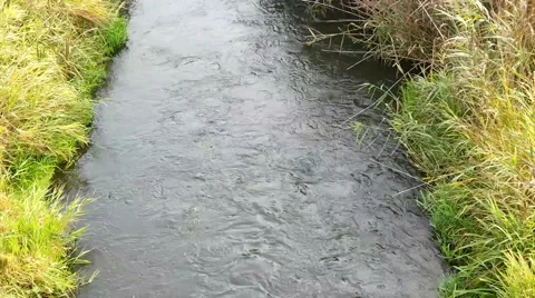 The bed of a small river Vídeos de archivo 42849823