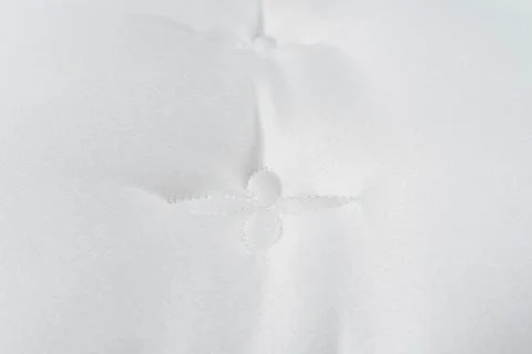 Bed tissue Stock Photos