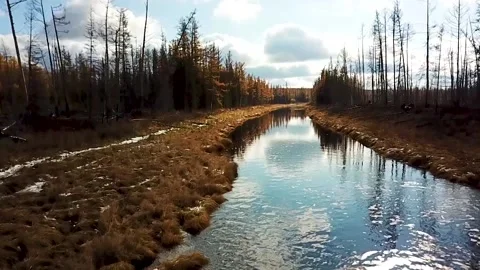 The bed of the Yakut river Stock Footage 131446245