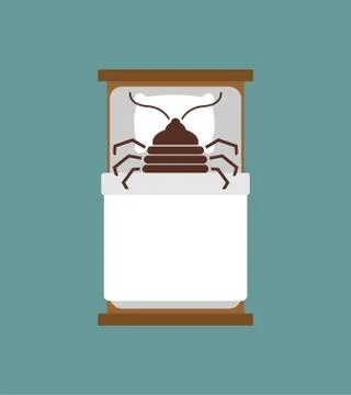 Bedbug in bed. chinch insect vector illustration Stock Illustration