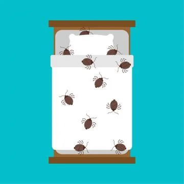 Bedbug in bug. chinch insect vector illustration 스톡 일러스트