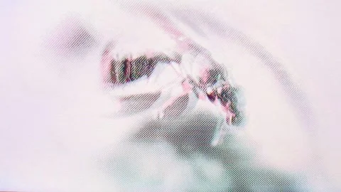Bedbug hallucinatory trippy tape multi colored glitches on a bed bug insect Stock Footage 255300894