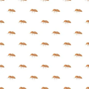Bedbug pattern repeating on white background pest infestation Ilustração Stock