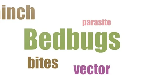 Bedbugs Tag Cloud Animated Isolated Video stock 107227751
