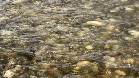 Beddingestrand, Skåne, Sweden Video stock 220784325