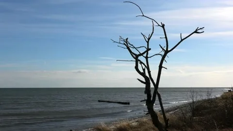Beddingestrand, Skåne, Sweden Video stock 220784551