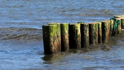 Beddingestrand, Skåne, Sweden Video stock 220784731