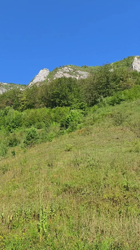 Bedeleu Mountain Stock Footage 317037871